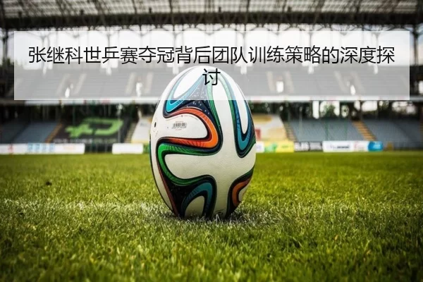 张继科世乒赛夺冠背后团队训练策略的深度探讨